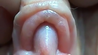 Intense Focus On The Clitoris And Labia Lips